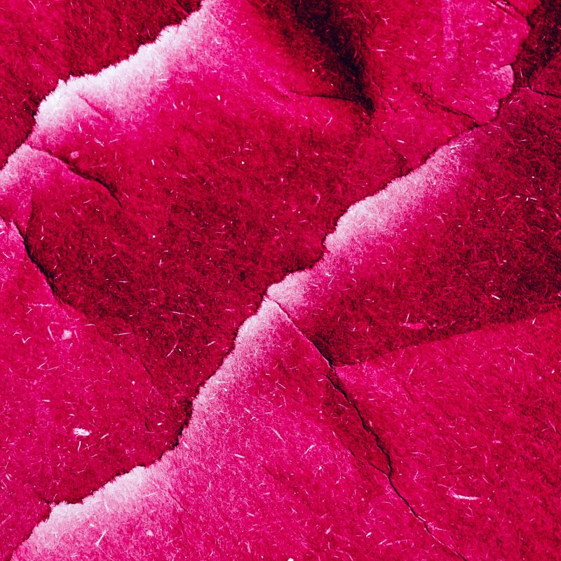 MICROFESTIVAL-FANZINES Microfestival "Fanzines y newletters"